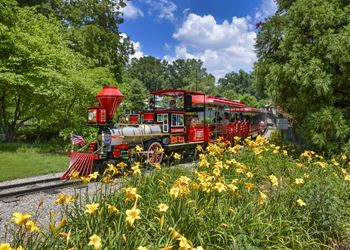 a red train traveling through a field of yellow flowers